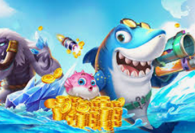 6686下载2024最新版